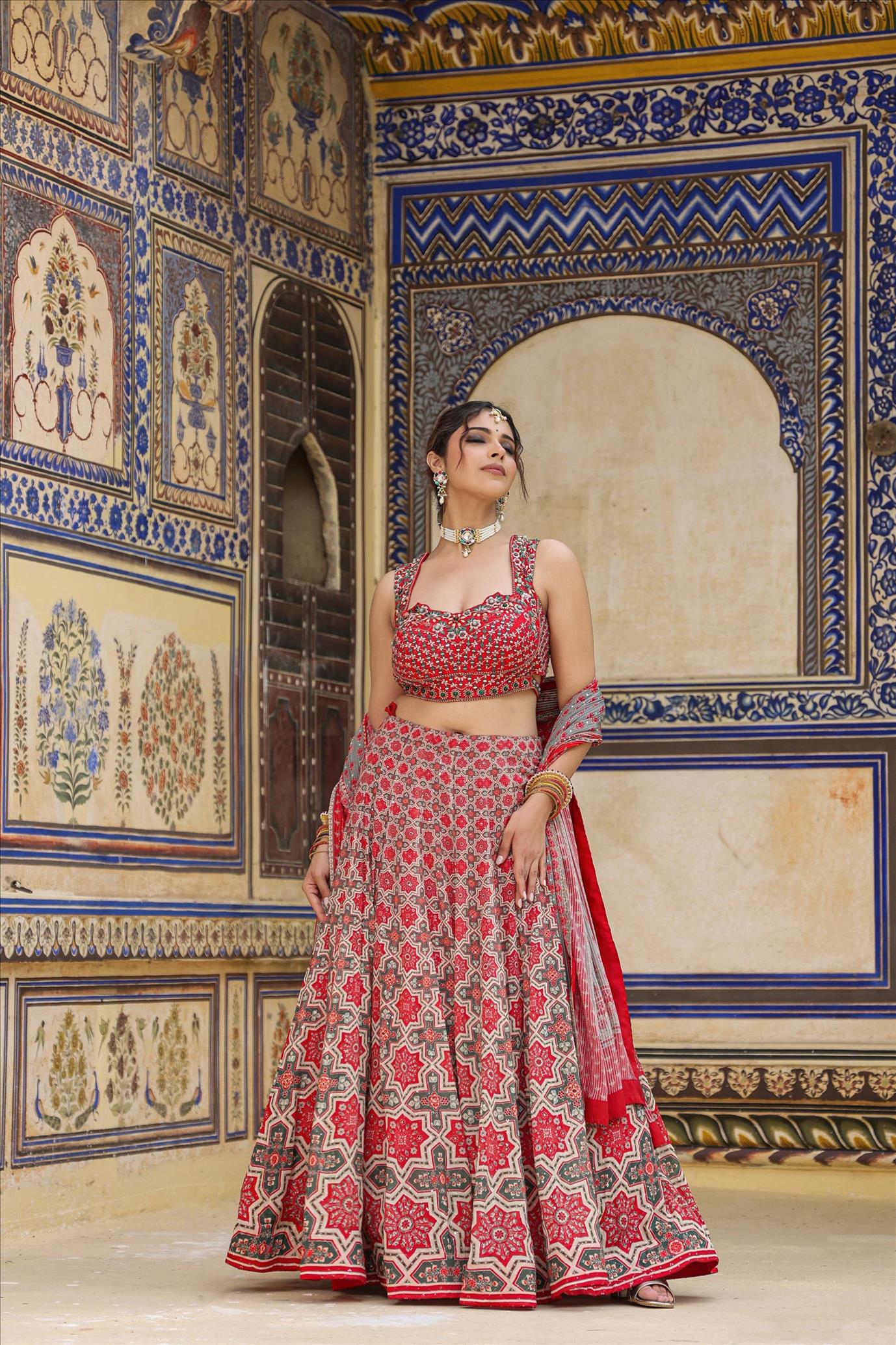 Red Georgette Printed Embroidered Lehenga Set