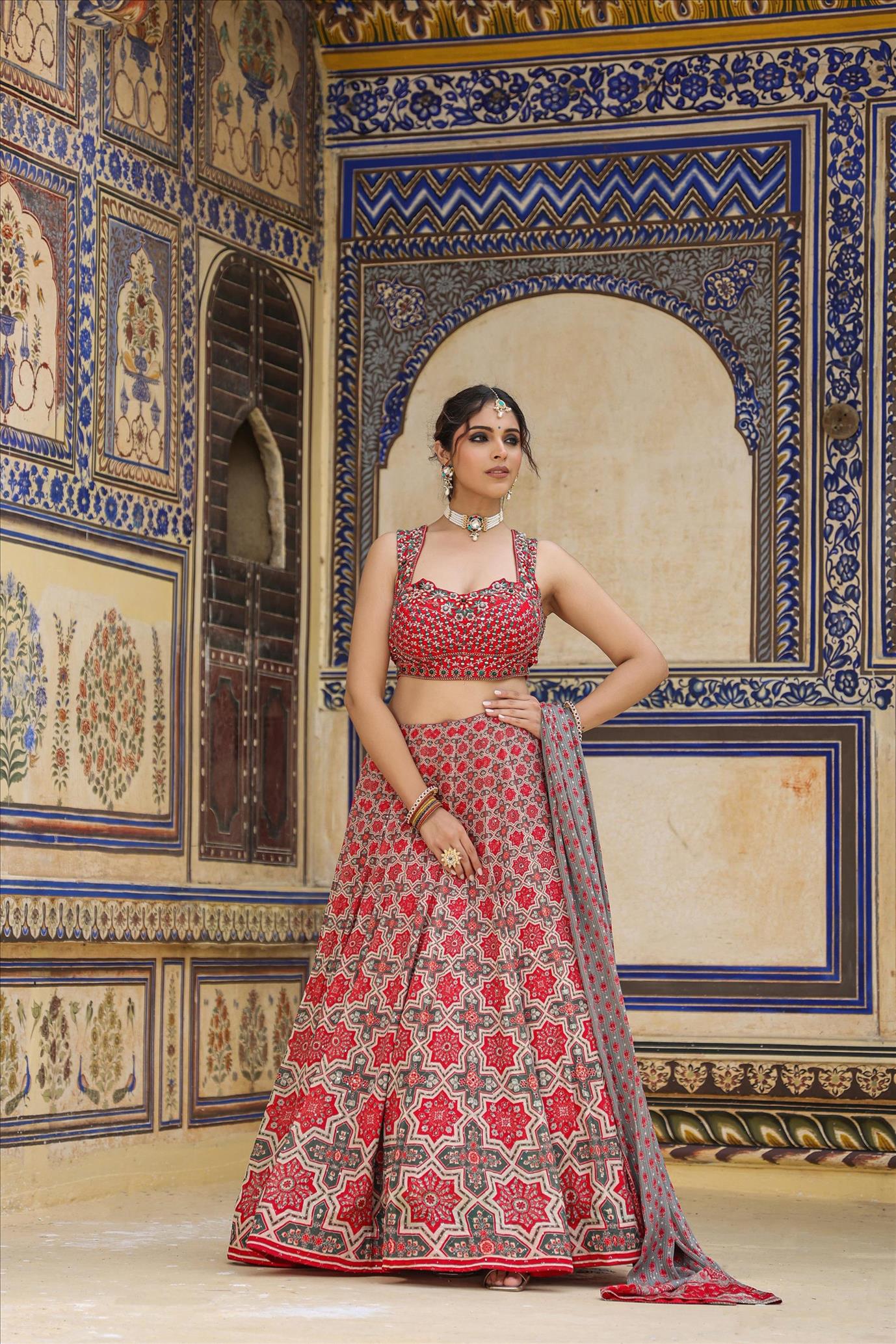 Red Georgette Printed Embroidered Lehenga Set