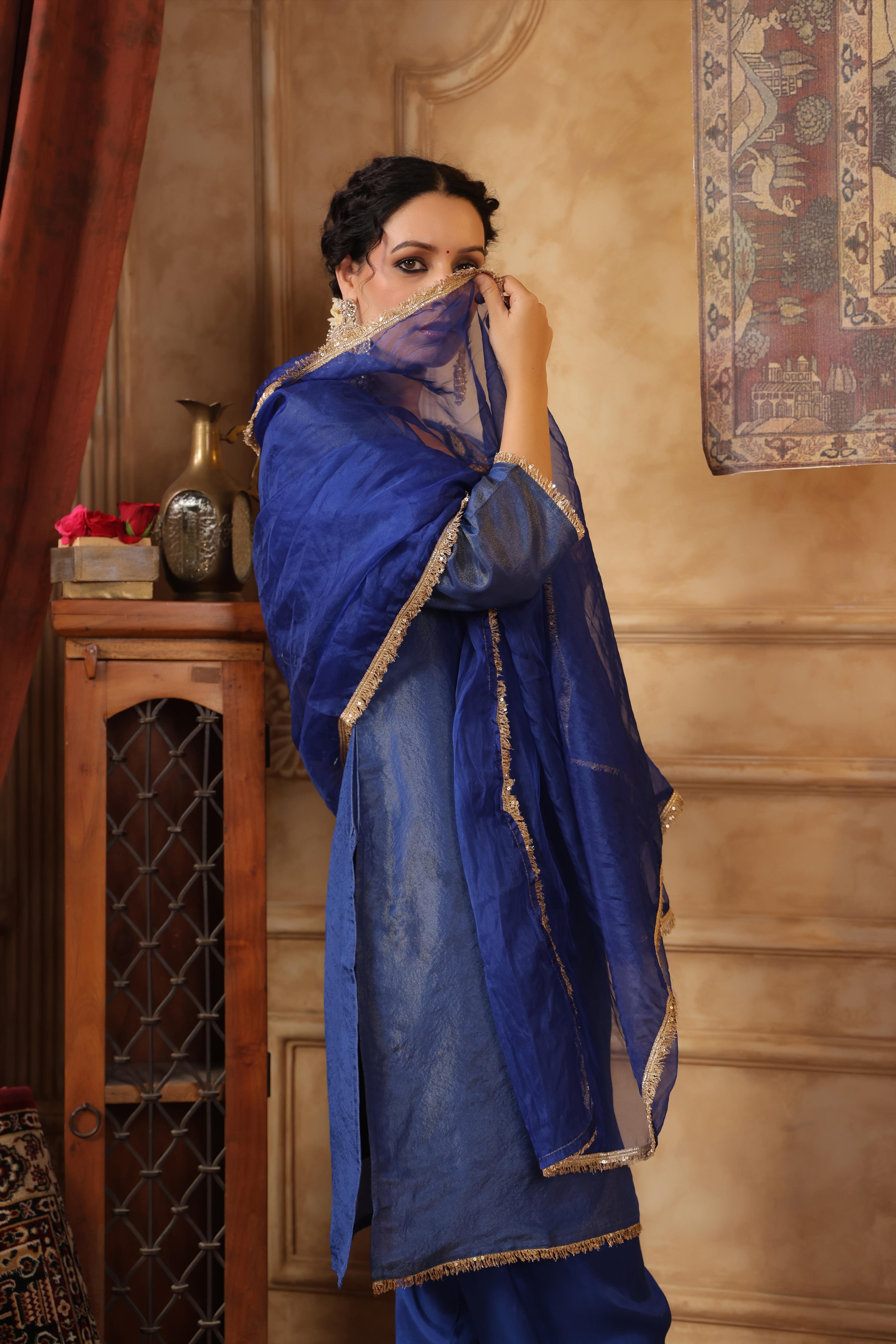 Blue Shimmer Organza Embroidered Suit Set