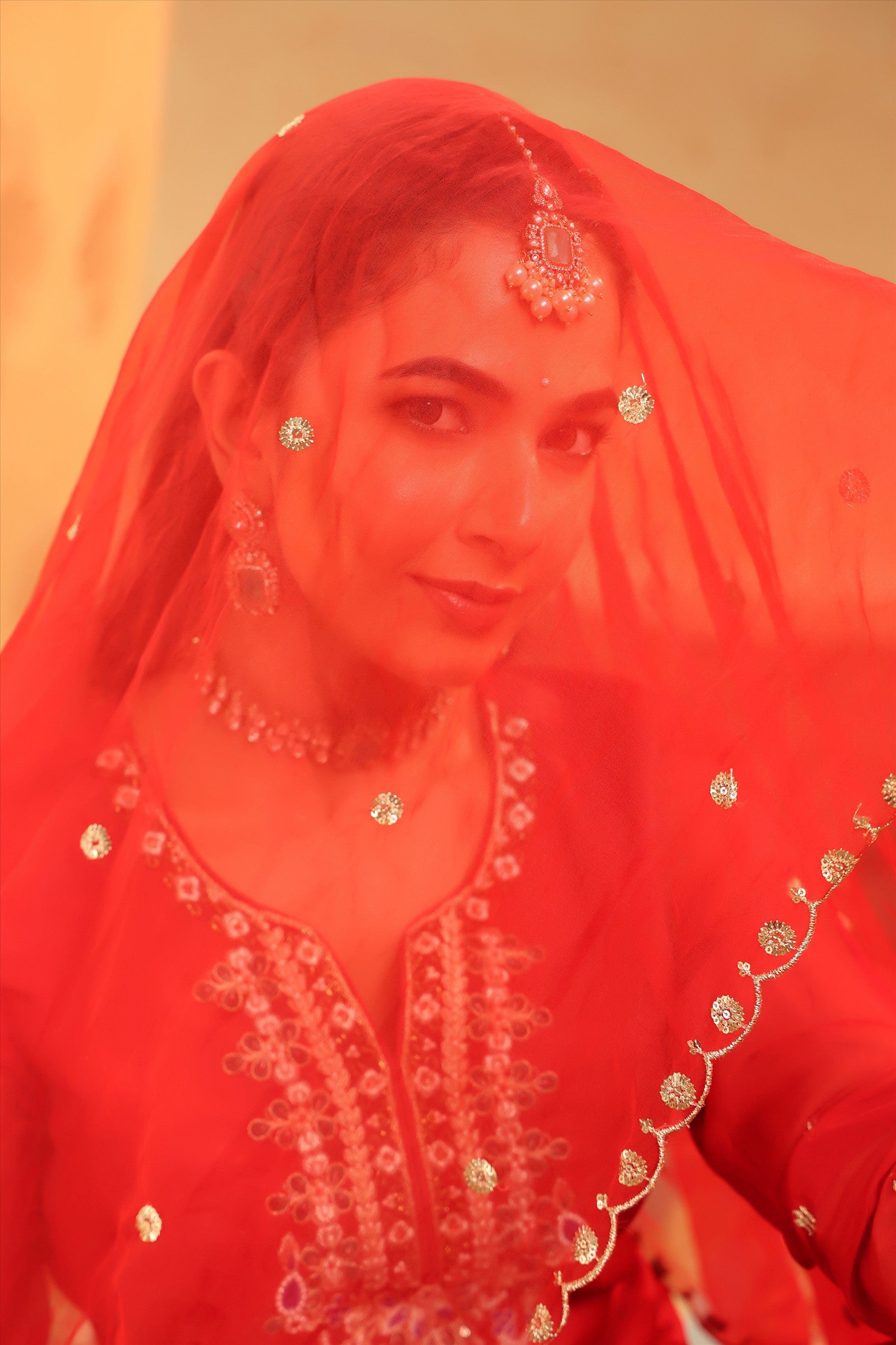 Red Organza Silk Hand Embroidered Straight Suit Set